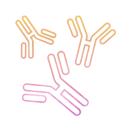 Antibodies illustration