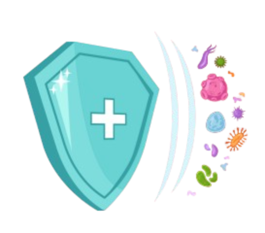 Immune shield and pathogens
