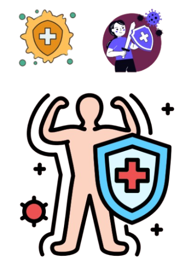 Human Immune and Lymphatic Systems