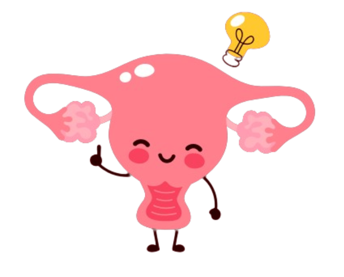 Cartoon Reproductive System