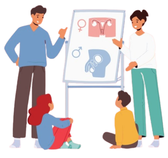 Human Reproductive System